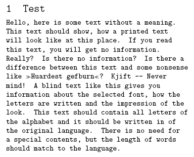 monospace typewriter (\ttfamily) flush left